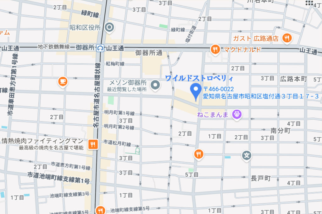 ワイルドストロベリィマップ